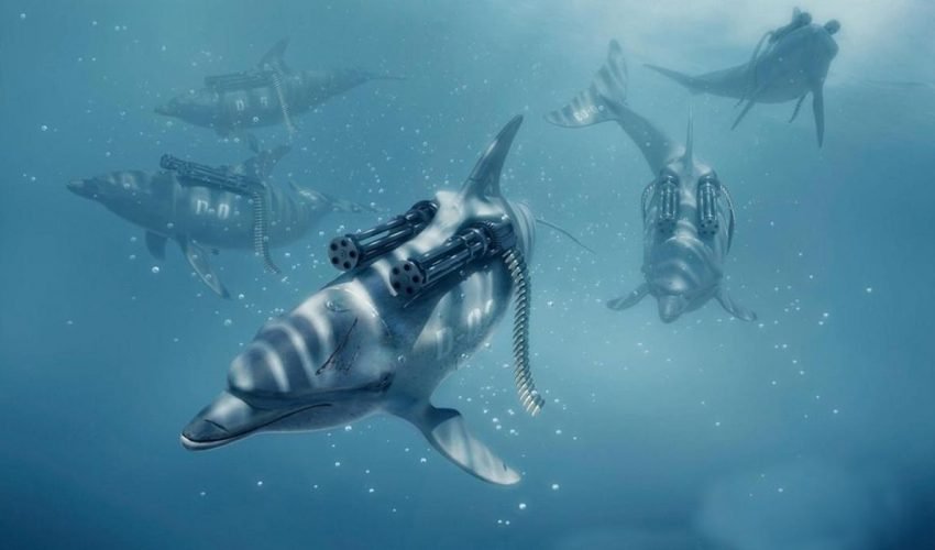killer dolphins