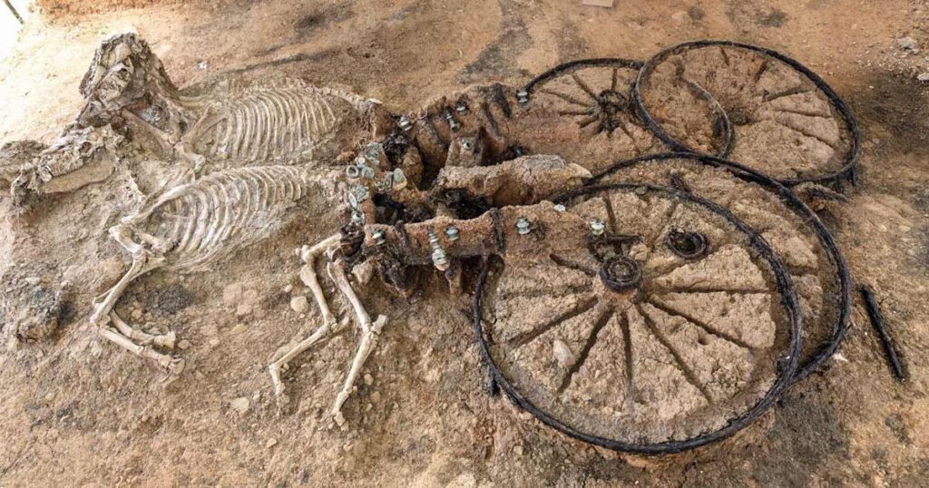 12 Archaeological Findings that Left Us Amazed