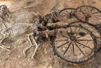 12 Archaeological Findings that Left Us Amazed