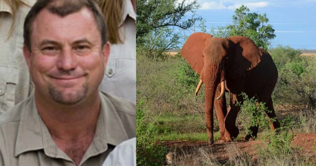 South African Big Game Hunter Dies After Shot Elephant Fell on Him