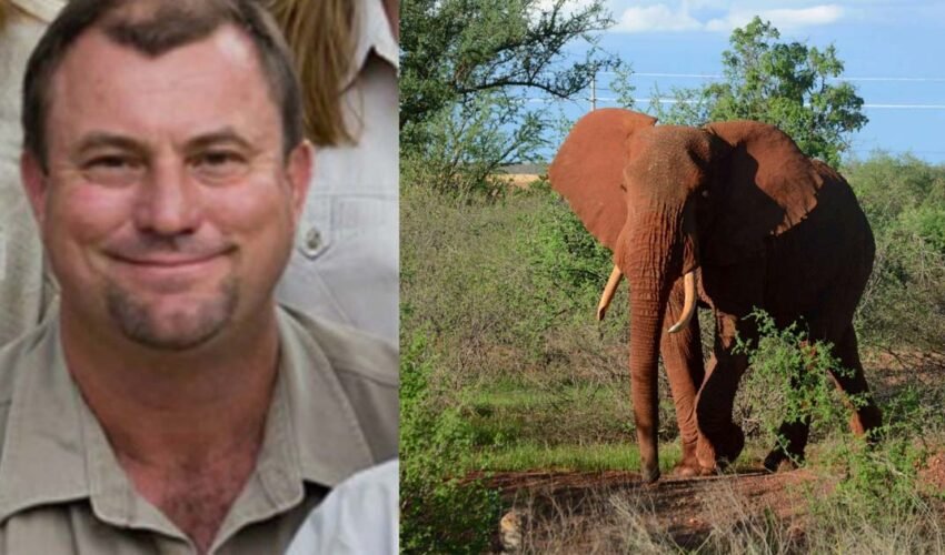 South African Big Game Hunter Dies After Shot Elephant Fell on Him