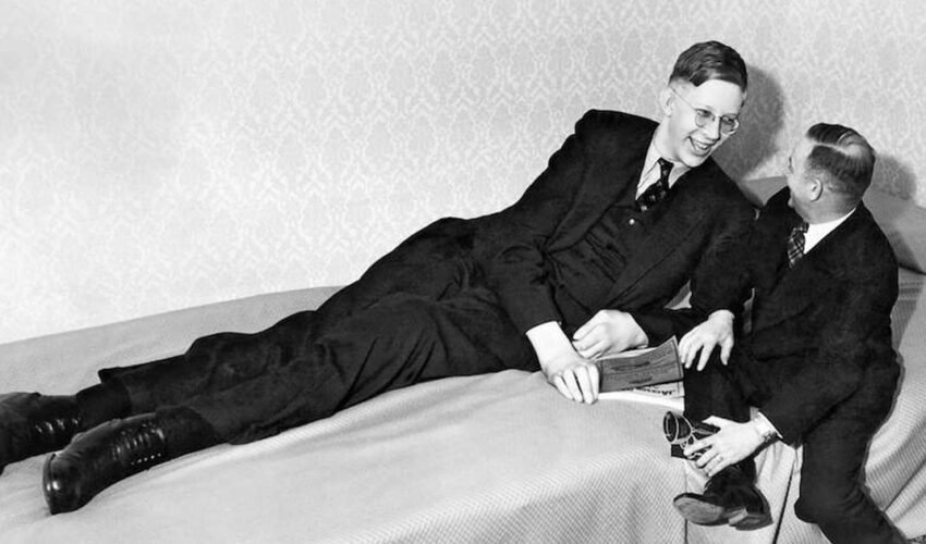 top 10 tallest man in the world